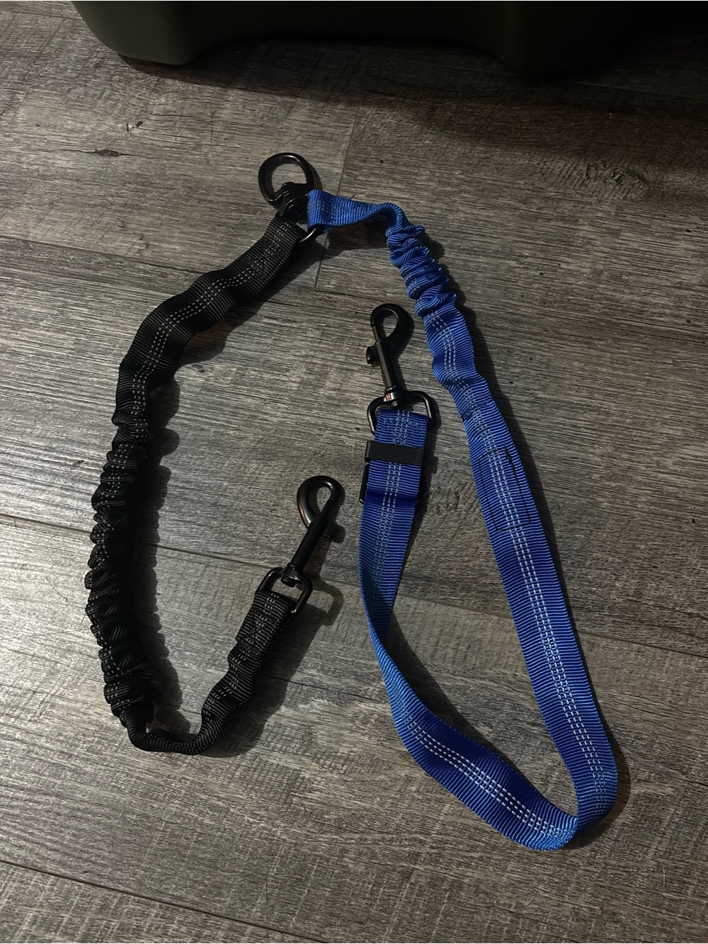 Adjustable Dual-Clip Dog Leash - Black & Blue